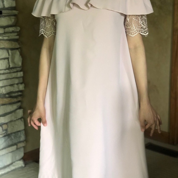 Blush Pink Dress - Picture 3 of 3